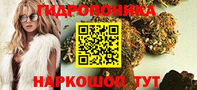 прущие крисы Аша