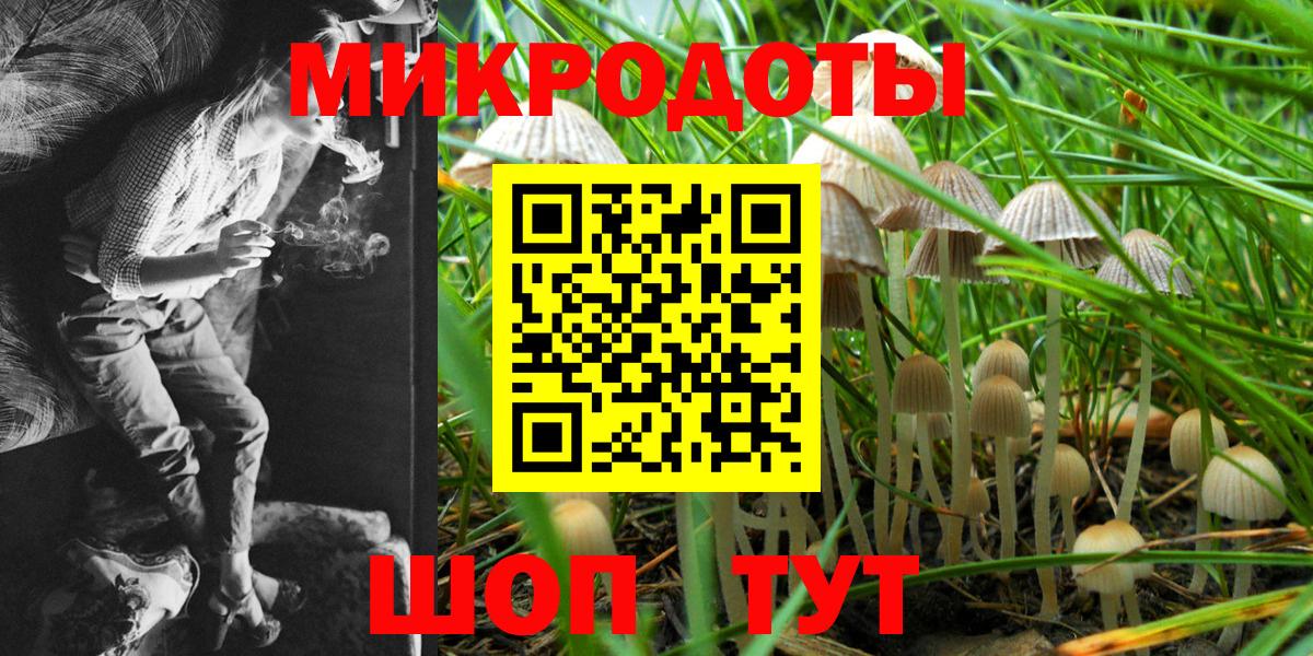 Галлюциногенные грибы Psilocybe Железноводск