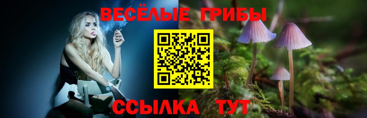Галлюциногенные грибы мицелий  Вход с VPN  Галлюциногенные грибы Psilocybine cubensis  Железноводск 